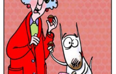 Chuck s Fun Page 2 Maxine On Valentine s Day