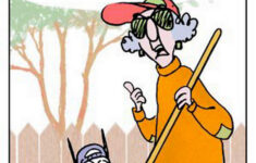 Chuck s Fun Page 2 Some Mildly Amusing Maxine Cartoons