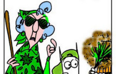 Chuck s Fun Page 2 St Patrick s Day Humor