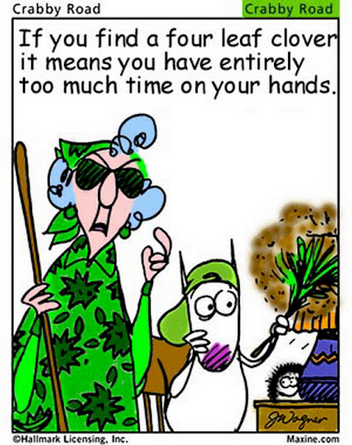 Chuck s Fun Page 2 St Patrick s Day Humor