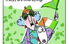 Maxine Maxine Humor Maxine St Pattys Day