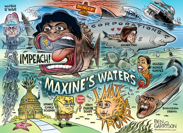 Maxine waters cartoon Grrr Graphics