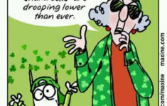 Ohhhh Maxine Maxine St Patricks Day Quotes Senior Humor