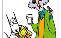 Pin By Joy Neveils On Pharmacy Funnies Funny Cartoons Humor Bones Funny