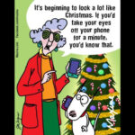 Pin By Katrese Taber On Maxine Christmas Humor Christmas Quotes