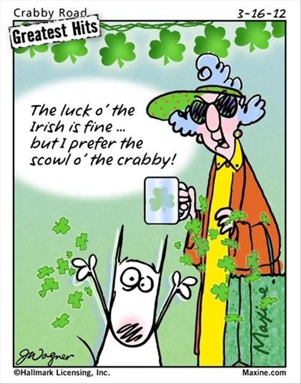 The Luck Of The Irish Is Fine Irish Funny St Patricks Day Quotes 
